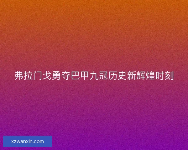 弗拉门戈勇夺巴甲九冠历史新辉煌时刻 弗拉门戈勇夺巴甲九冠历史新辉煌时刻